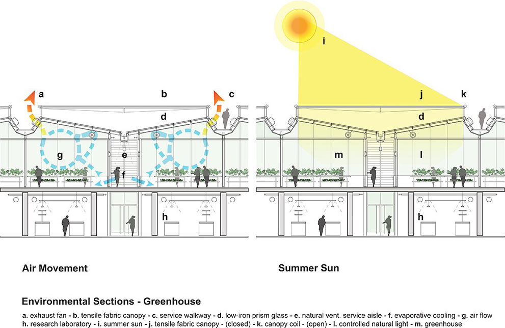 Image 5. 2 section diagrams of building.  First diagram shows air movement patterns and the second diagram shows summer sunlight coming through the glass ceiling panels above.