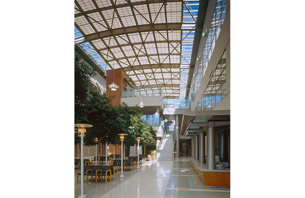 Image 2. Ground level view of building's central atrium.