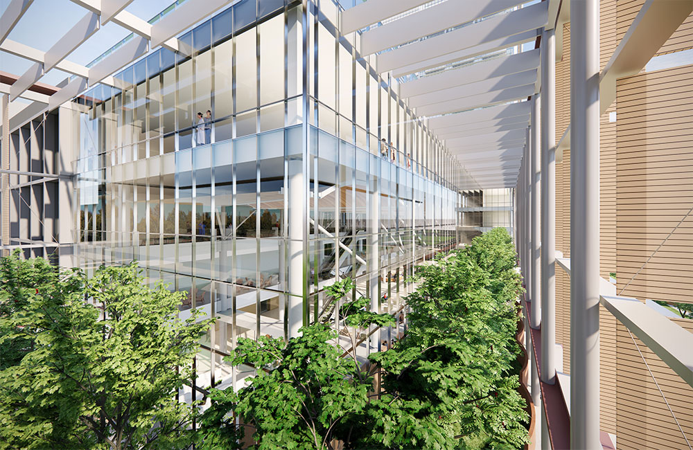 Image 5. Rendering showing exterior walkway lined with trees adjacent to the main concourse.