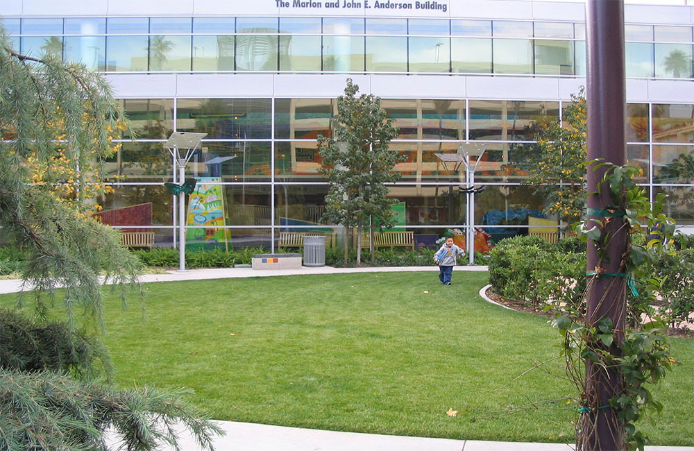 Image 2. Close-up view of outdoor park in front of glass and steel building.