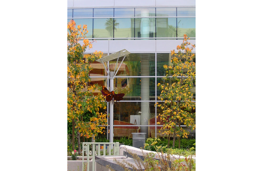 Image 5. Close-up view of a light fixture and bench located at the small outdoor park in front of the hospital.